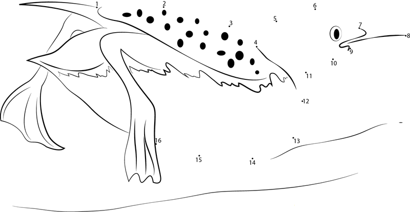 Common Loon Moving On Land dot to dot worksheets