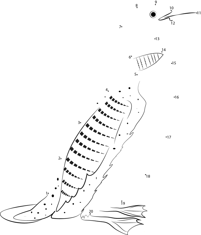 Divers printable dot to dot worksheet