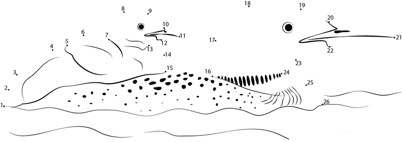 Loon And Baby dot to dot worksheets