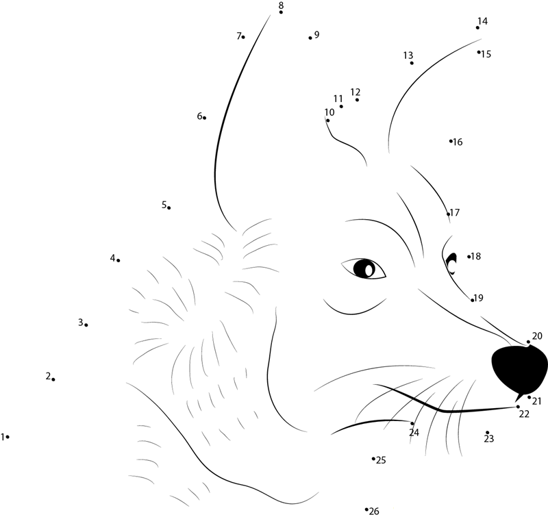 Coyote Face printable dot to dot worksheet