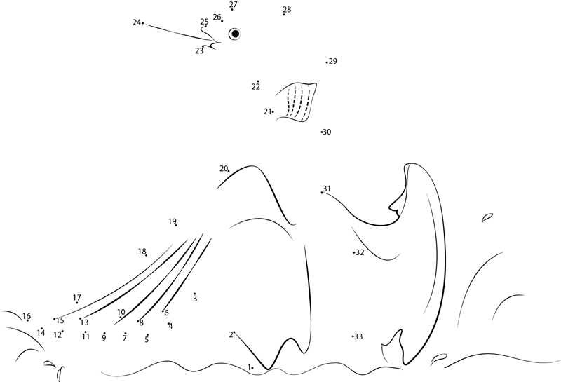 Loon Drying His Wings printable dot to dot worksheet