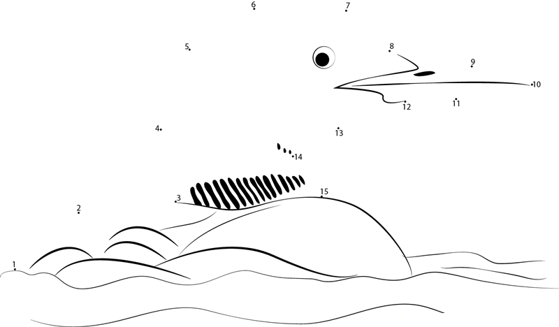 Pacific Loon Bird In Water printable dot to dot worksheet