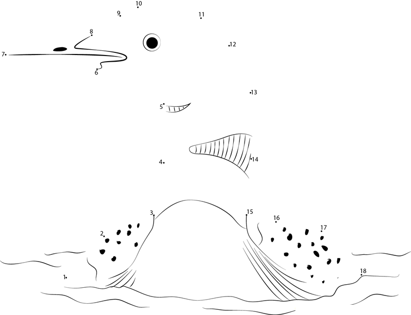 The Call Of The Loons printable dot to dot worksheet