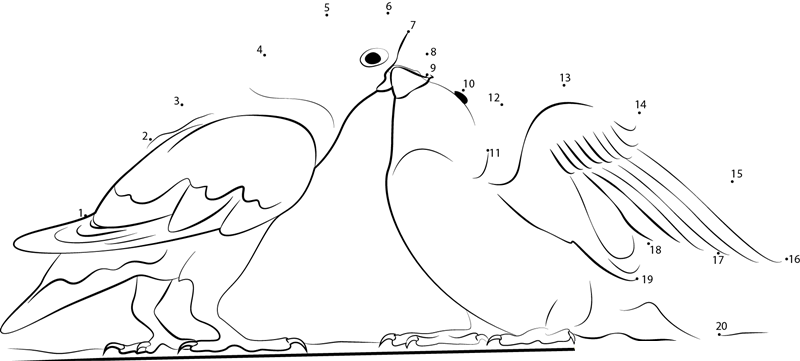 Baby Love Bird Being Fed dot to dot worksheets