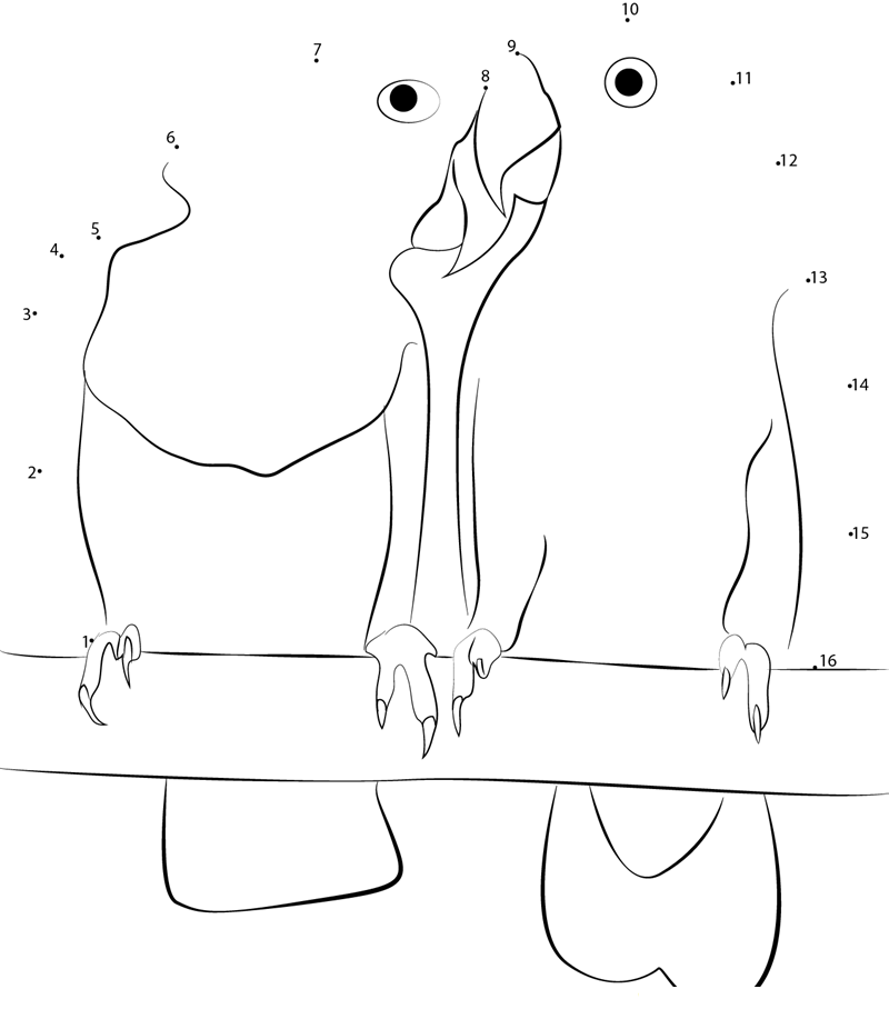 Beautiful Birds dot to dot worksheets