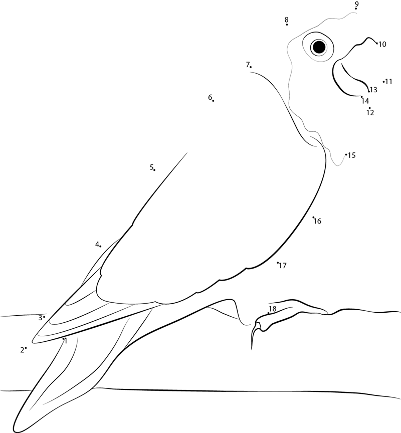 Bird Love printable dot to dot worksheet