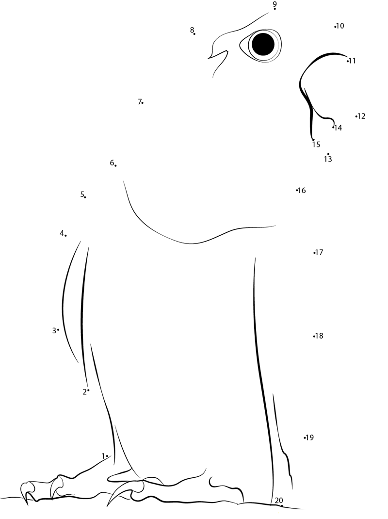 Blackwinged Lovebird printable dot to dot worksheet