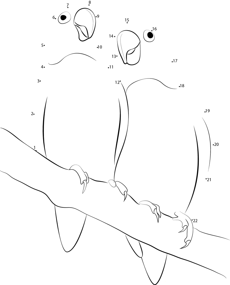 Care For A Lovebird printable dot to dot worksheet