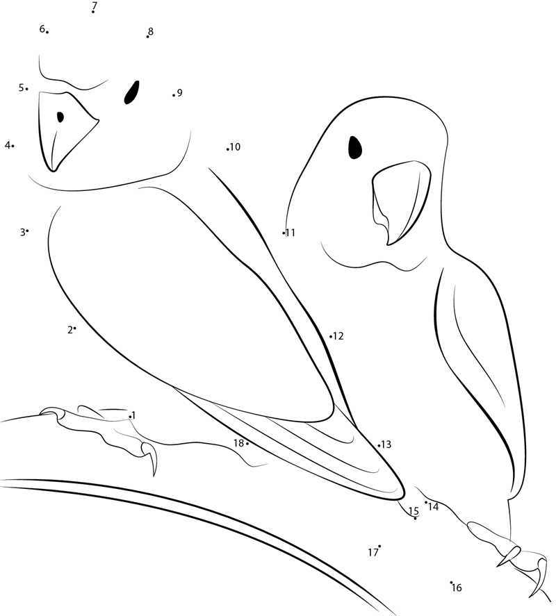 Fischer X27 S Lovebird dot to dot worksheets