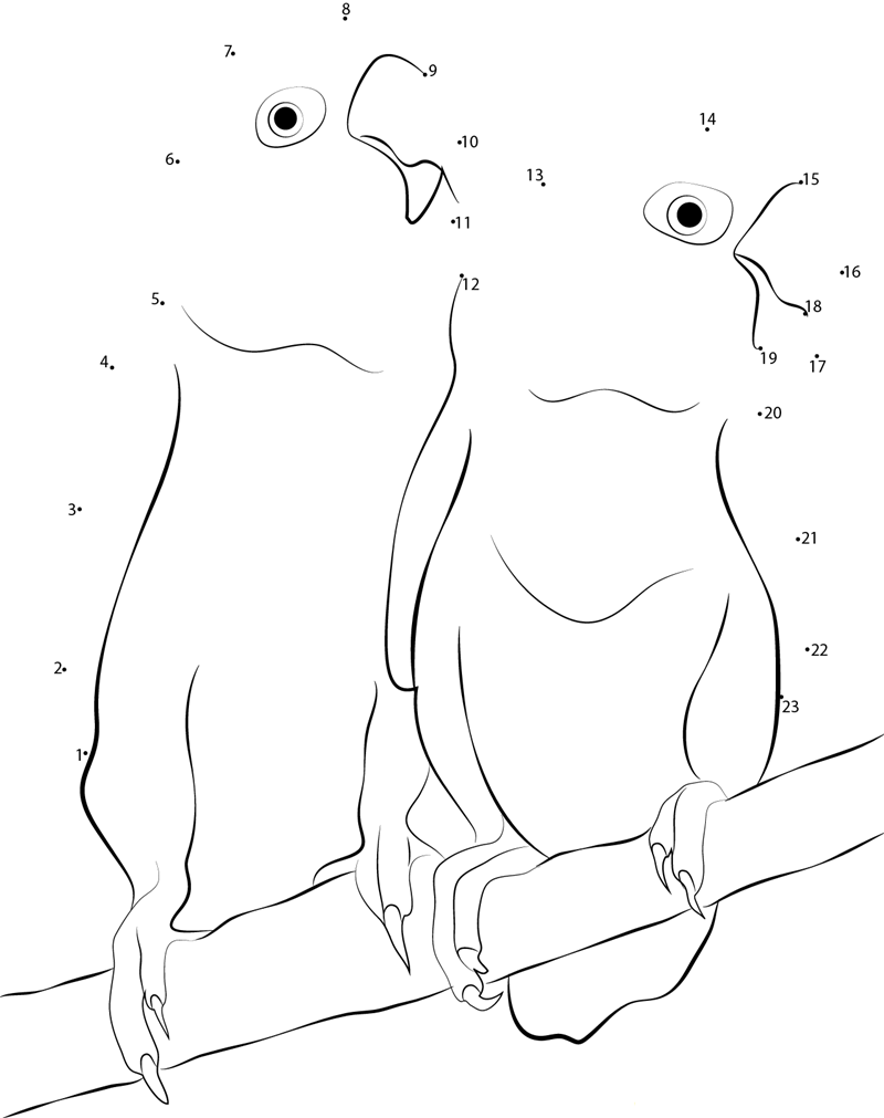 Lilian X27 S Lovebird printable dot to dot worksheet