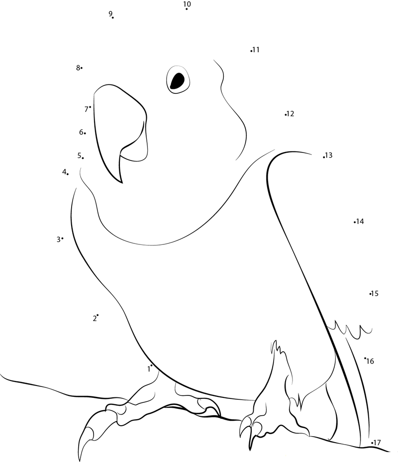 Little Love Bird dot to dot worksheets