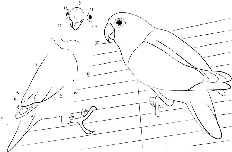 Love Bird printable dot to dot worksheet