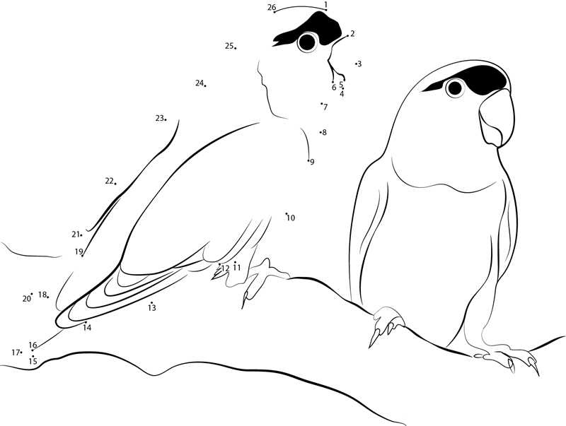 Love Birds Cute dot to dot worksheets