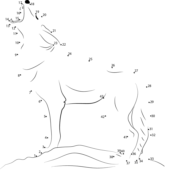 Coyote Howling printable dot to dot worksheet