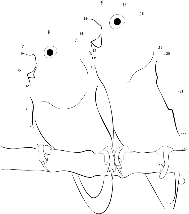 Love Birds Perched On A Branch dot to dot worksheets