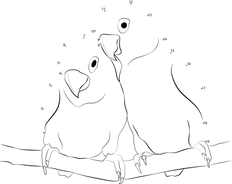 Picture Of Two Love Birds dot to dot worksheets