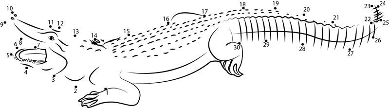 Alligator Open Mouth dot to dot worksheet