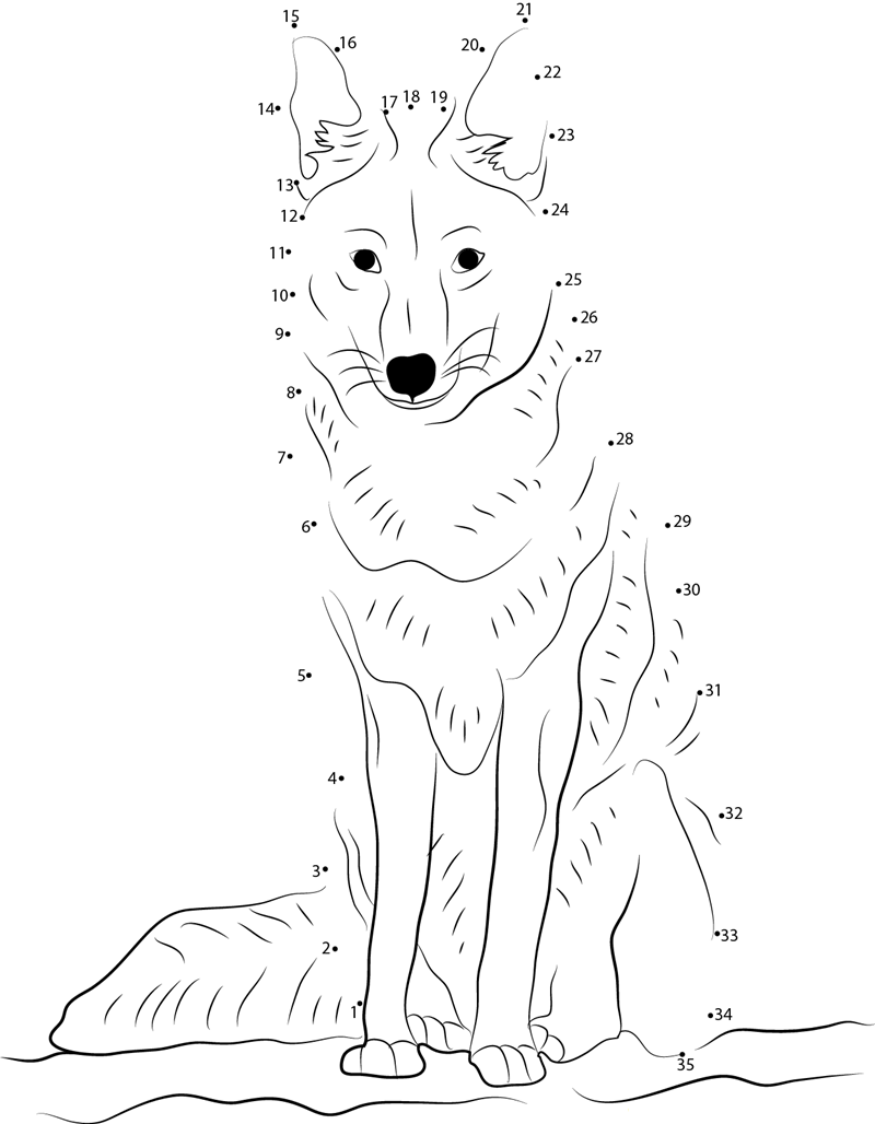 Coyote Looking dot to dot worksheets