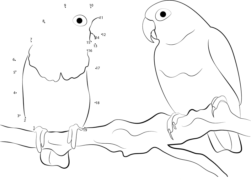 Very Cute Love Bird printable dot to dot worksheet