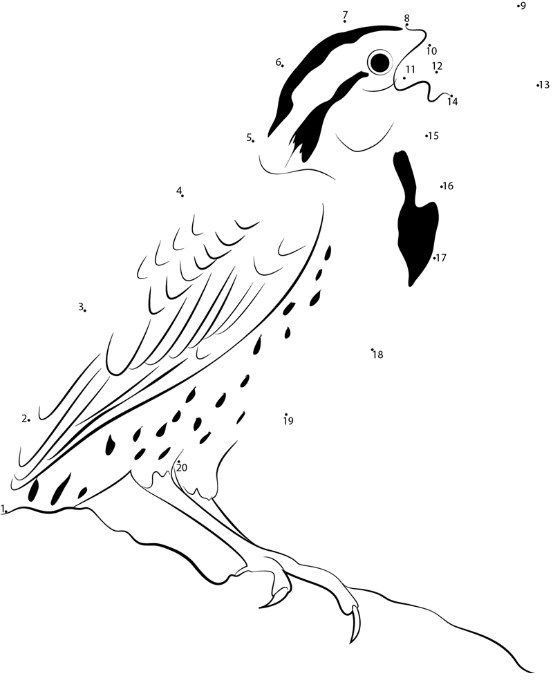 A Lovely Western Meadowlark printable dot to dot worksheet