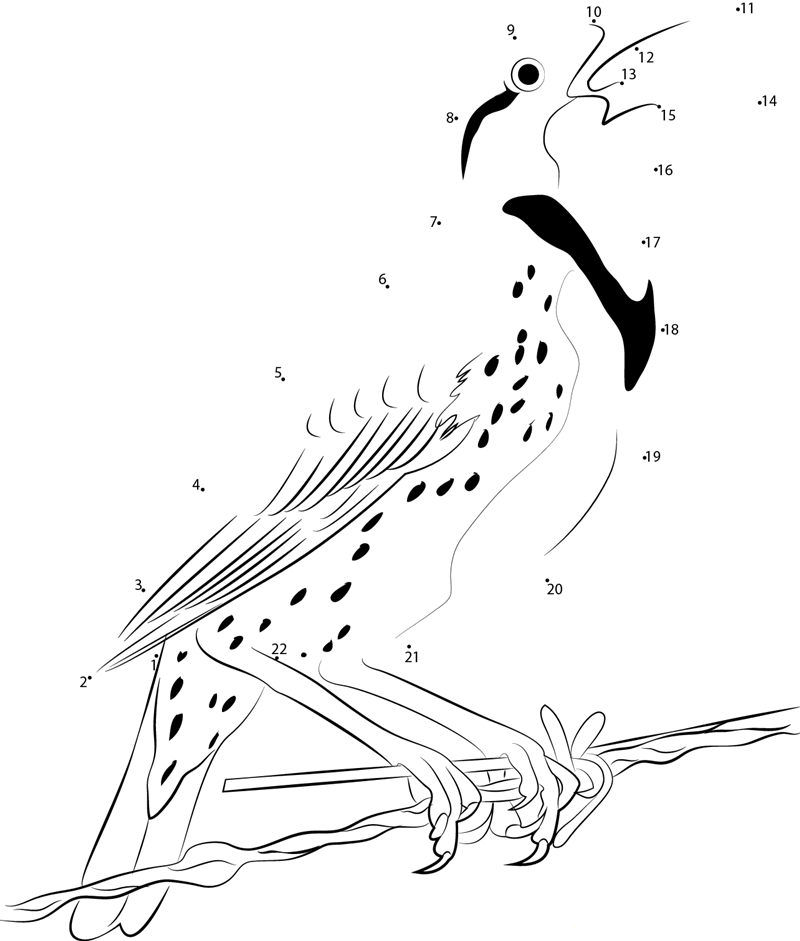 A Western Meadowlark Perched dot to dot worksheets