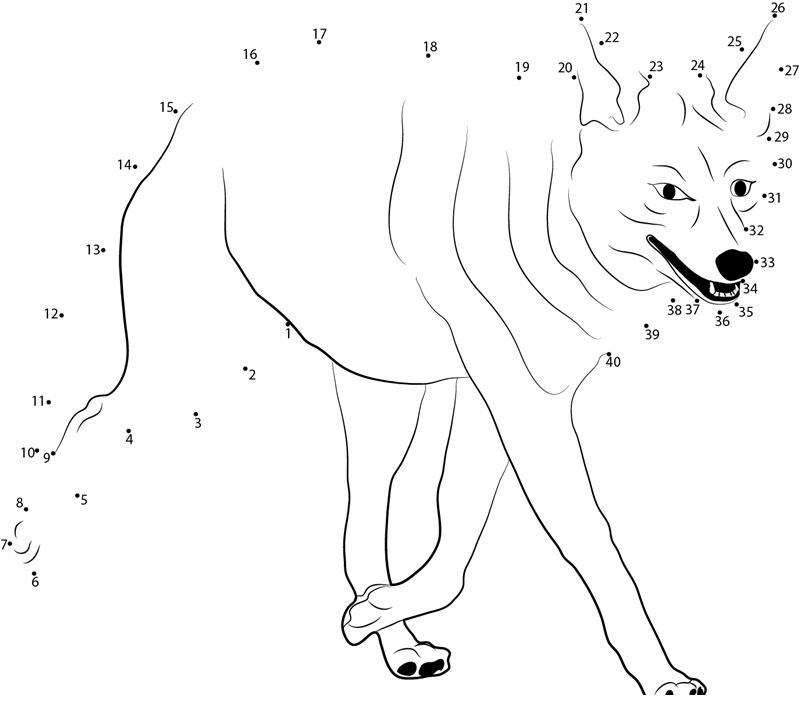 Coyote On The Run dot to dot worksheets