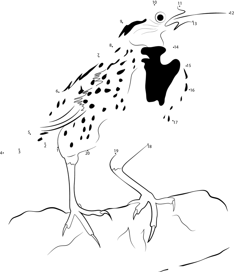 Adult Male Meadowlark printable dot to dot worksheet