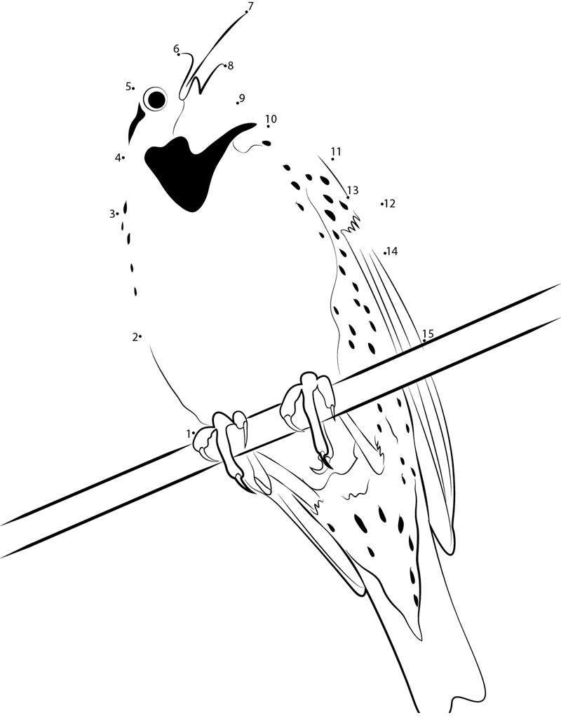 Eastern Meadowlark Male On Fence Post dot to dot worksheets