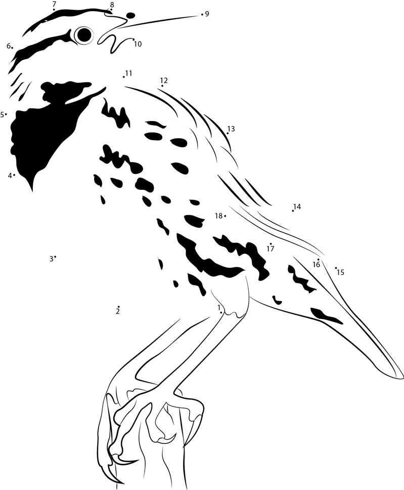 Eastern Meadowlark Songs And Calls dot to dot worksheets