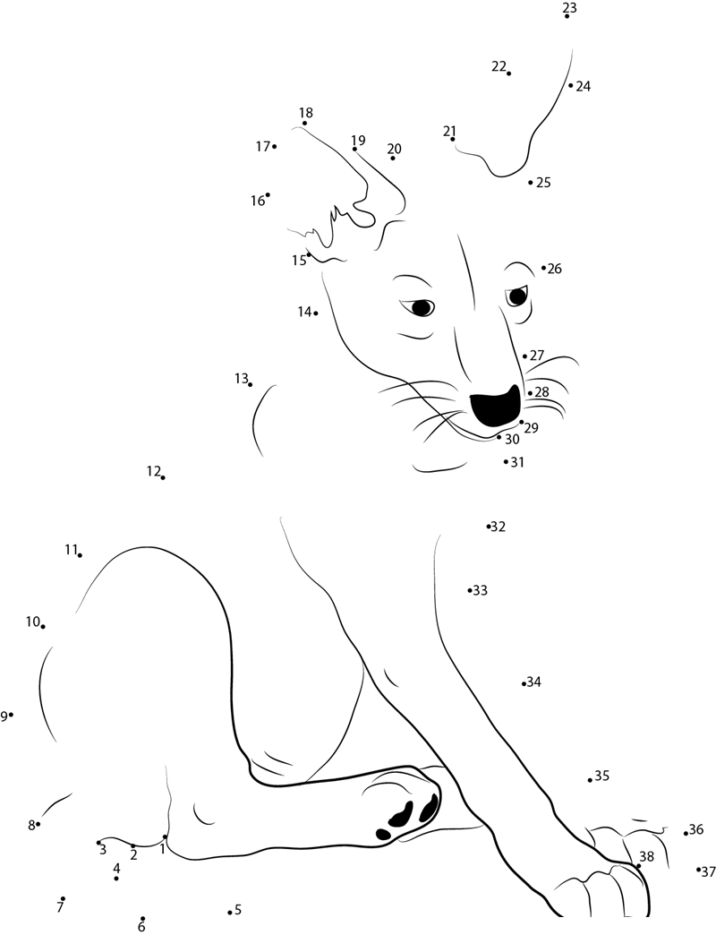 Coyote Pup printable dot to dot worksheet