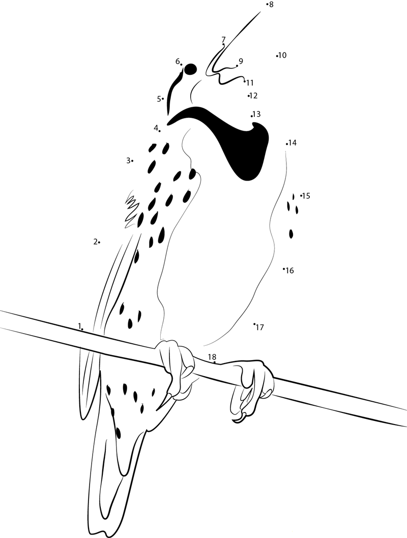 Gorgeous Meadowlark dot to dot worksheets