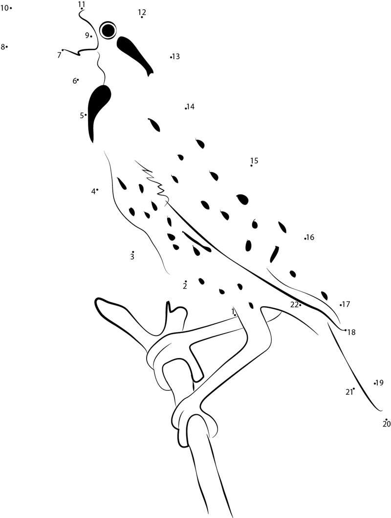 Juvenile Meadowlark printable dot to dot worksheet