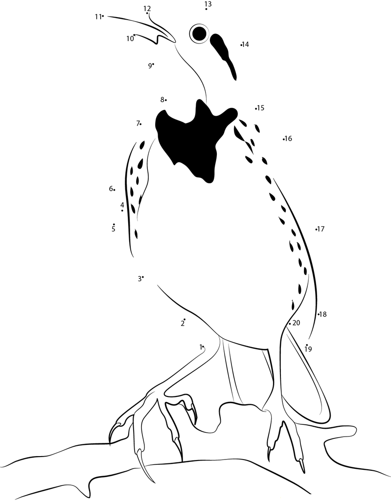 Long Tailed Meadowlark printable dot to dot worksheet