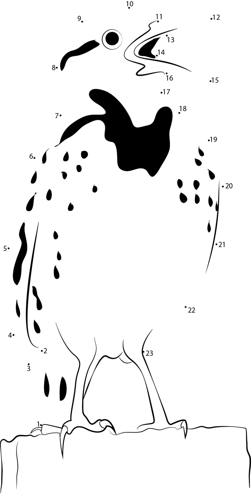 Meadowlark Bird printable dot to dot worksheet