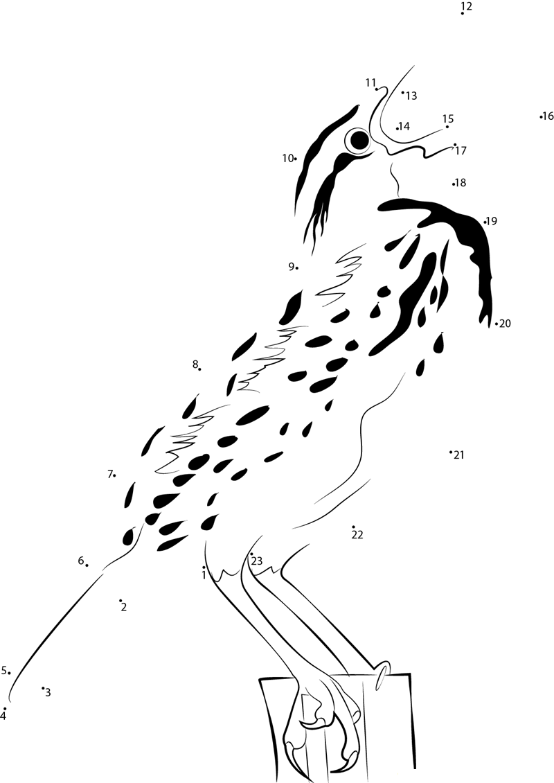 Pampas Meadowlark printable dot to dot worksheet