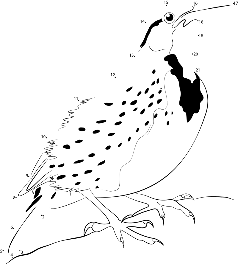 Peruvian Meadowlark printable dot to dot worksheet