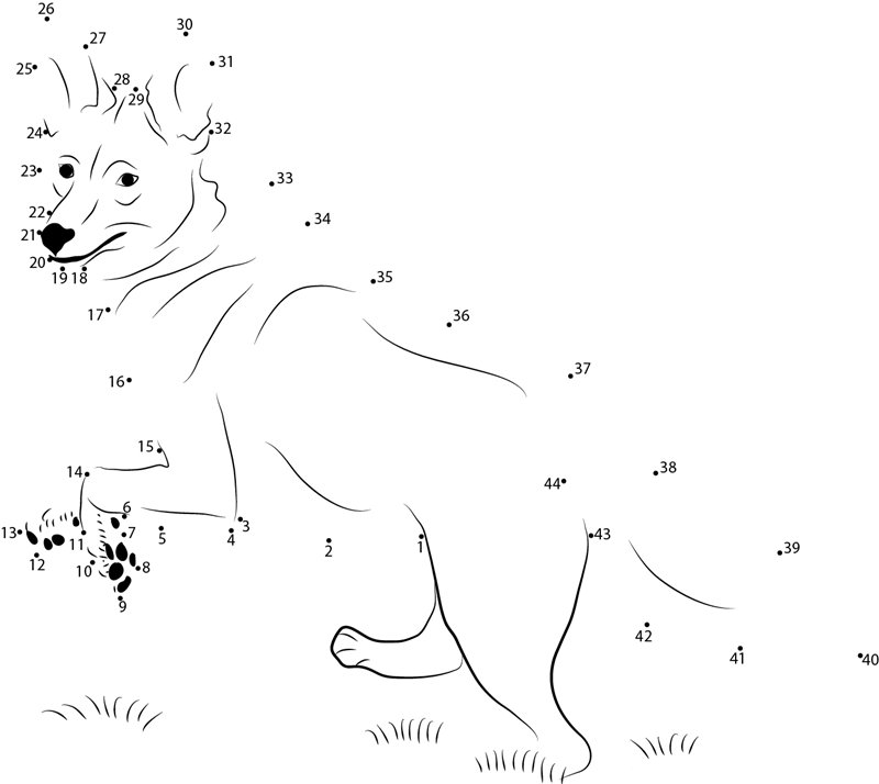 Coyote Walk On Grass printable dot to dot worksheet