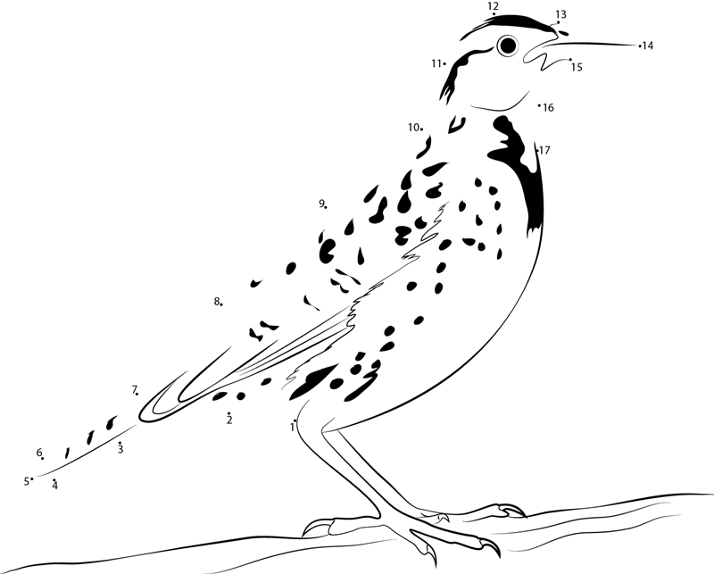 Standing On Tree Meadowlark Bird dot to dot worksheets