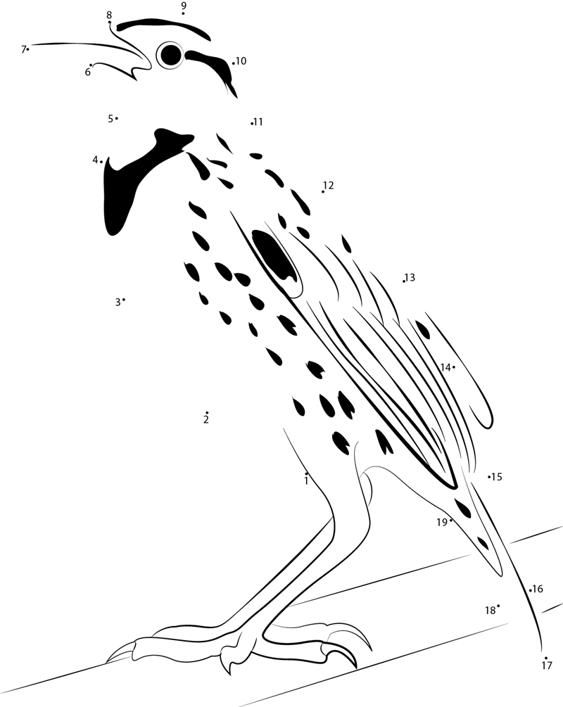 Sturnella Militaris printable dot to dot worksheet