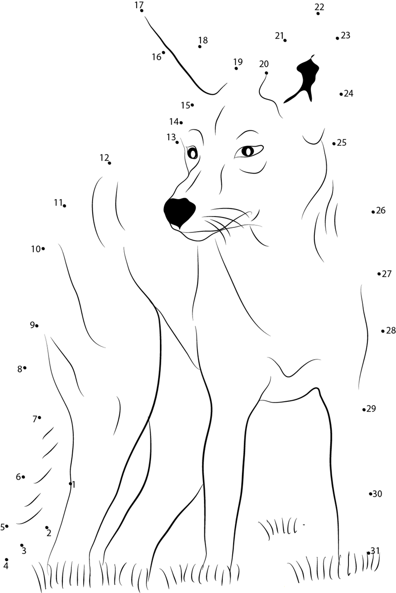 Eastern Coyote printable dot to dot worksheet