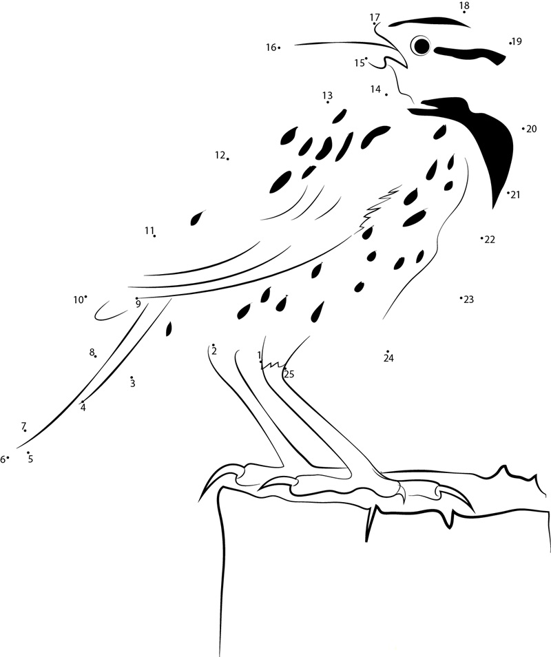 Sturnella Superciliaris printable dot to dot worksheet