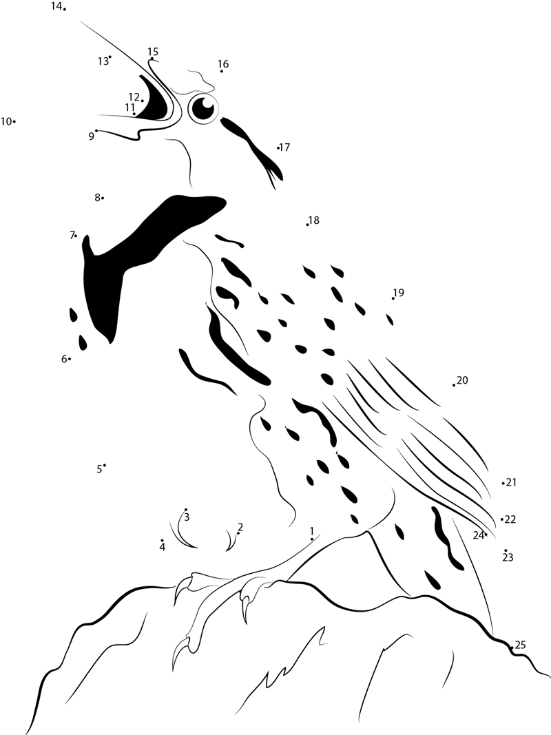 Talk Meadowlark Bird printable dot to dot worksheet