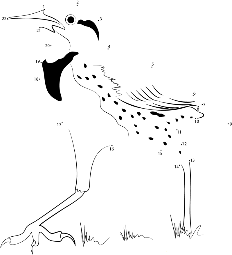 Walking Meadowlark printable dot to dot worksheet