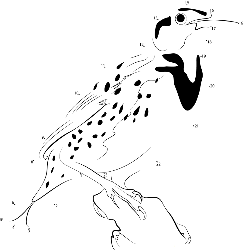 Western Meadowlark dot to dot worksheets