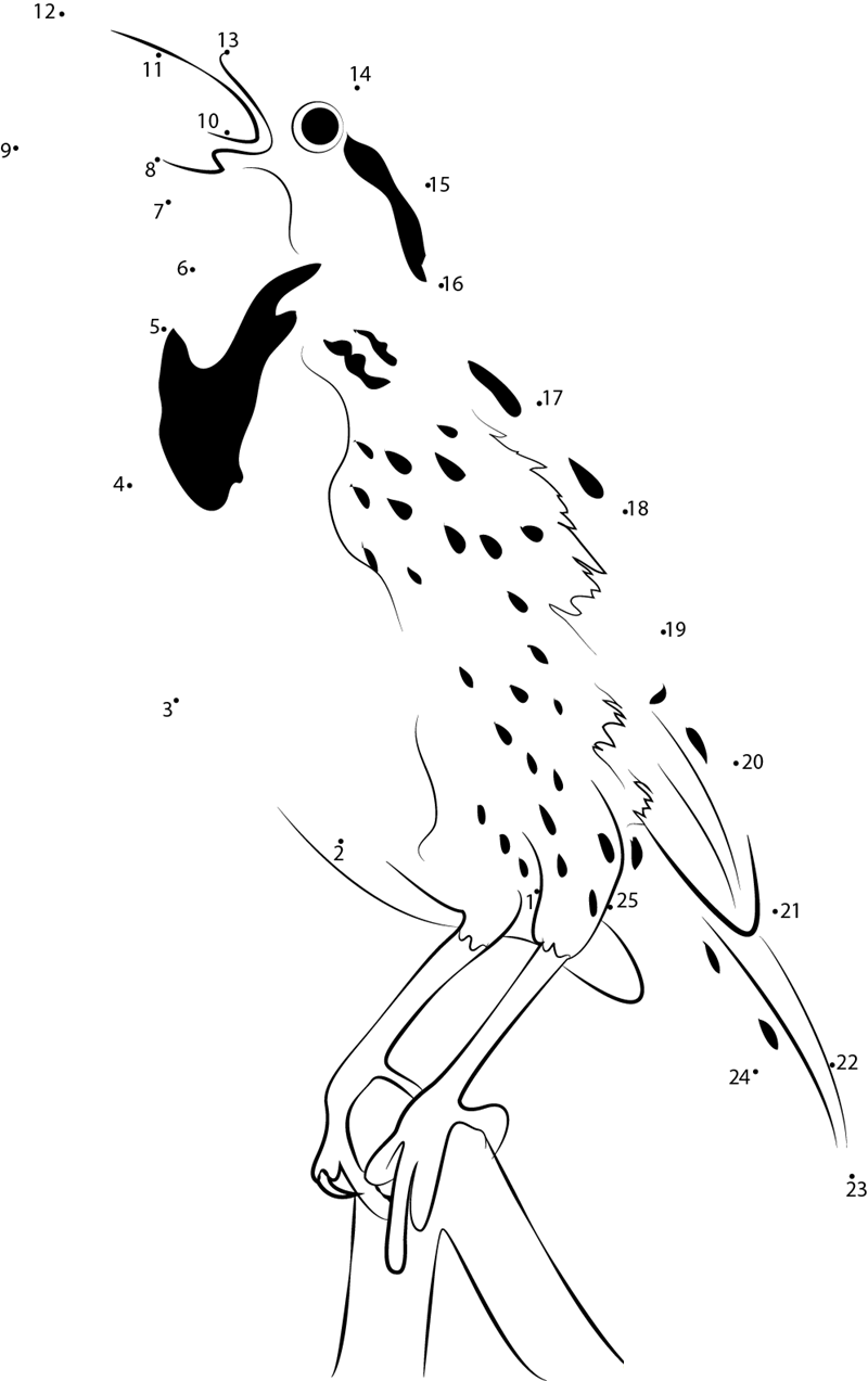 Western Meadowlark State Bird Of Kansas printable dot to dot worksheet