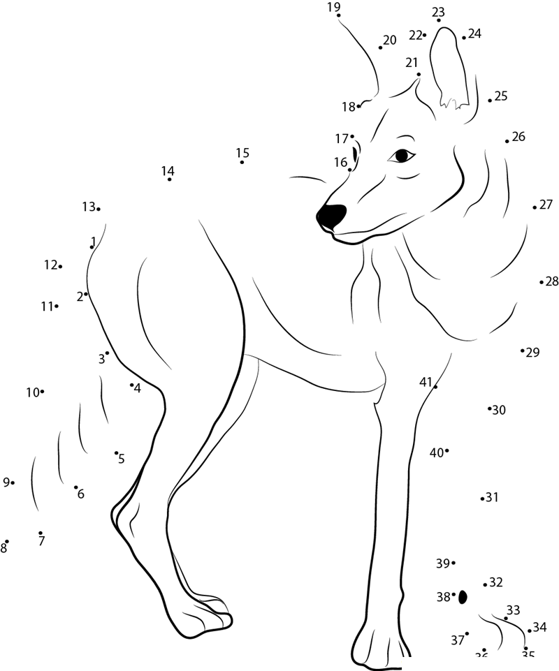 Western Coyote dot to dot worksheets