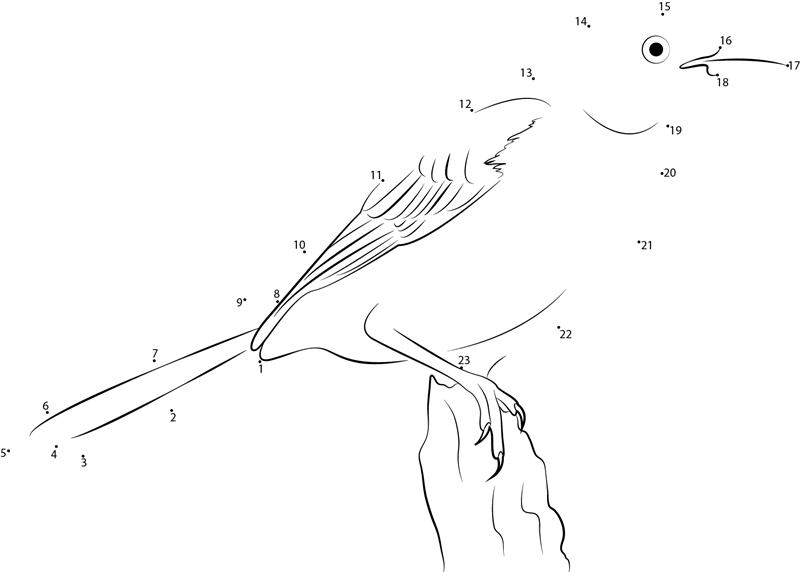 A Mockingbird dot to dot worksheets