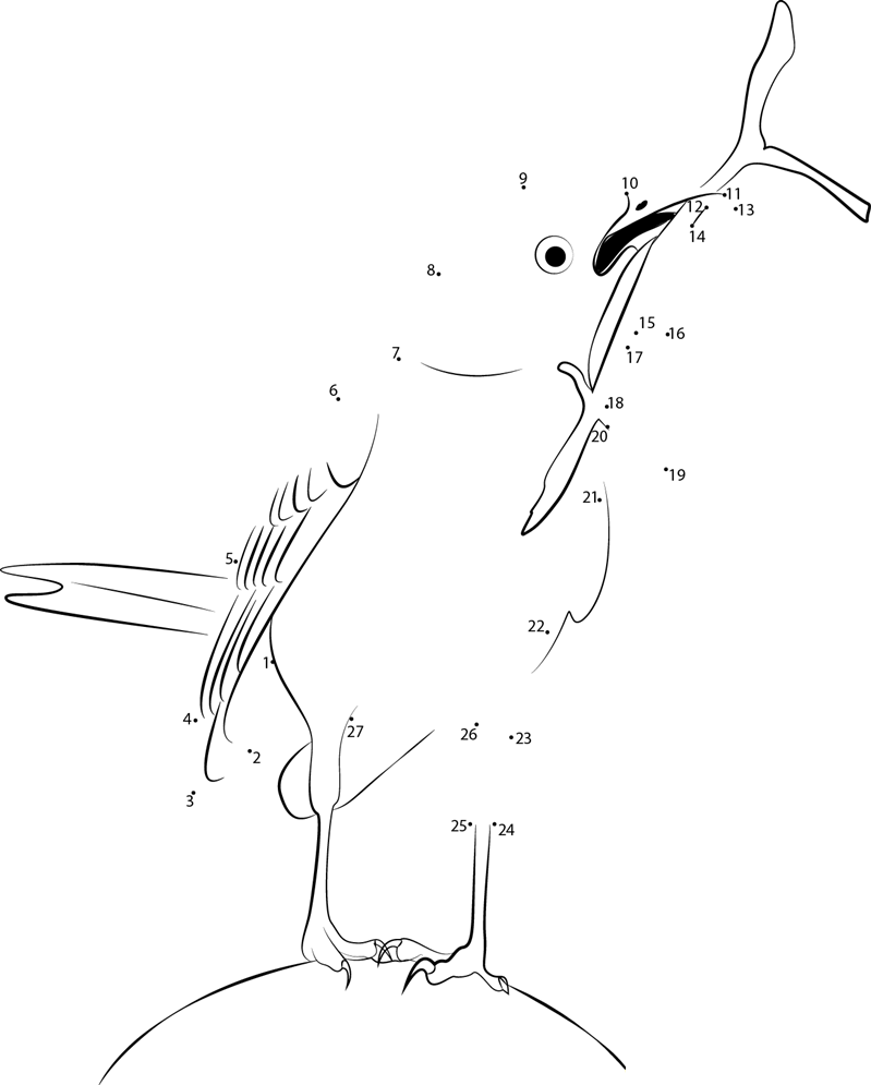 Animals Birds Detail printable dot to dot worksheet