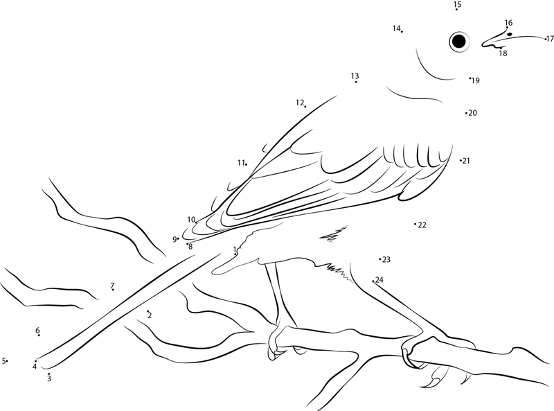 Beautiful Mockingbird printable dot to dot worksheet