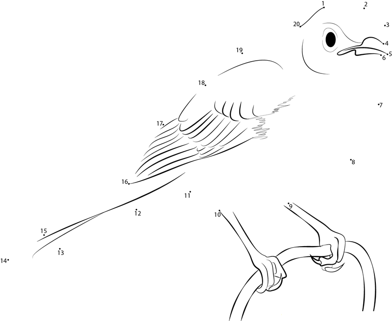 Beautiful Songs Mockingbird dot to dot worksheets